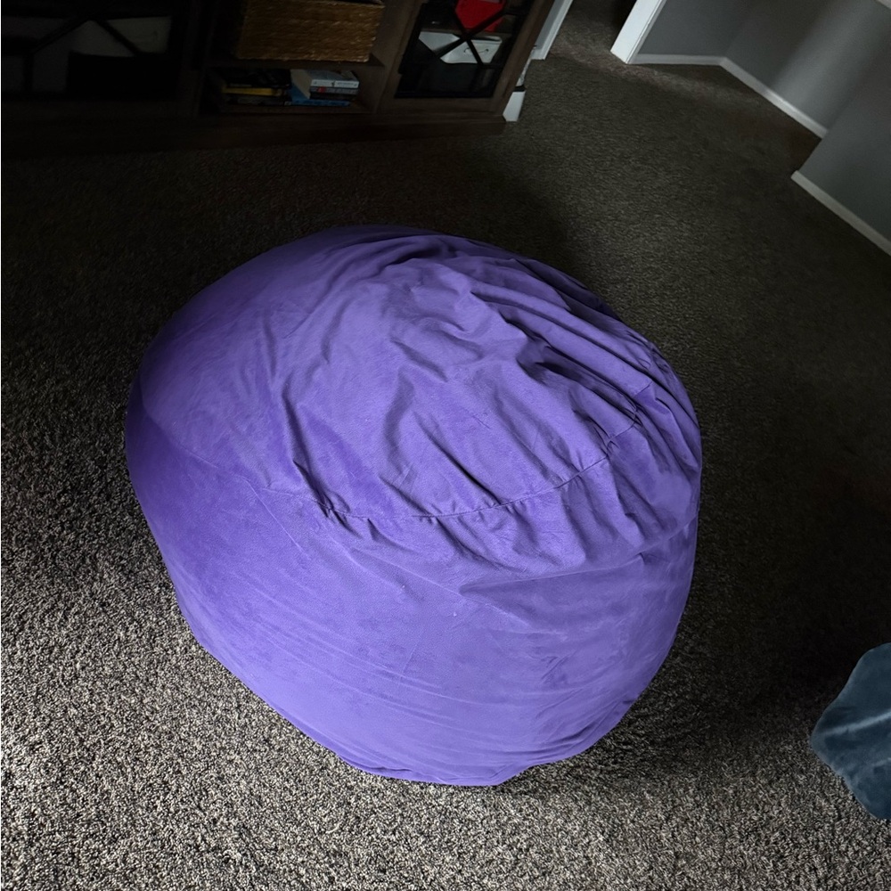 Vibrant Purple Bean Bag